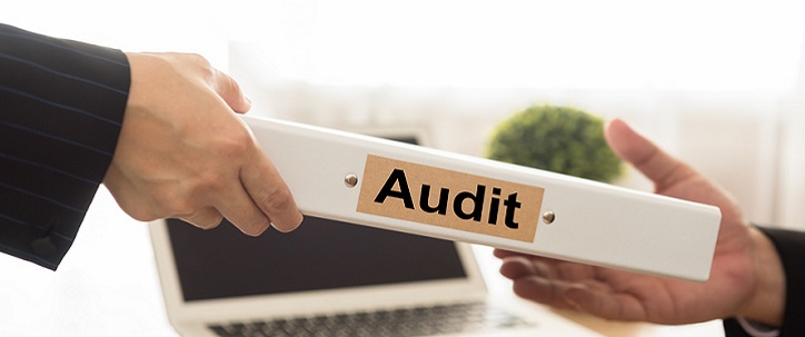 Auditor sends file audited financial statements of the Company to executives.