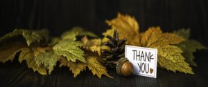 Thanksgiving Message from the CEO of MRO