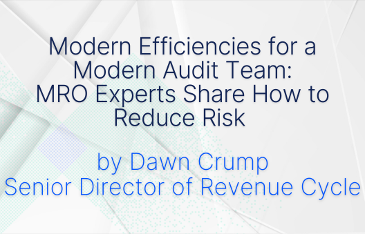 Modern Efficiencies for a Modern Audit Team: MRO Experts Share How to Reduce Risk